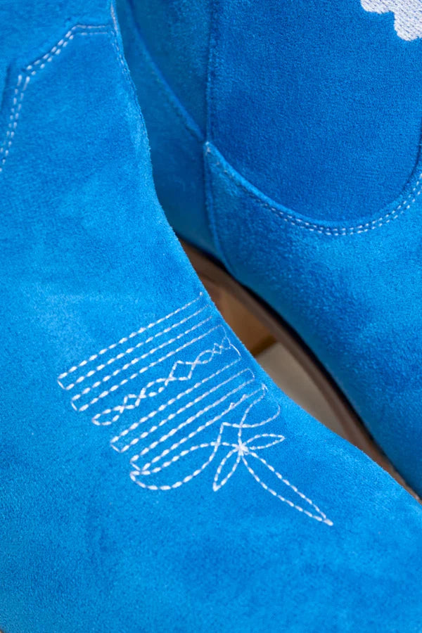 Womens Blue Heart Boots, Pointed Toe Tall Shaft